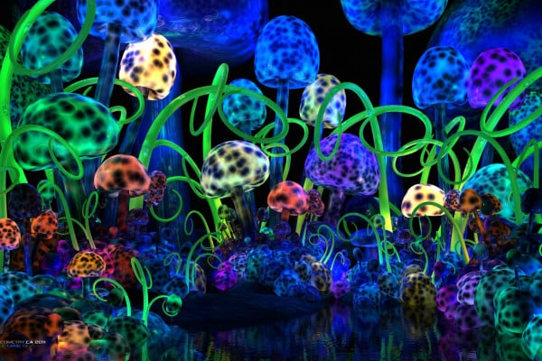 Neon Mushroom Forest Live Wallpaper  free download