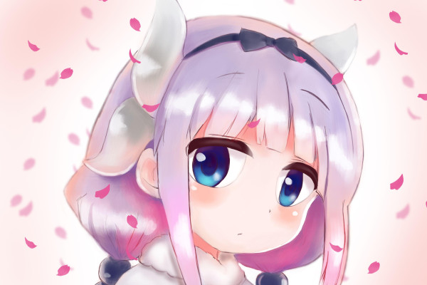 Kanna Wallpapers Top Free Kanna Backgrounds Wallpaperaccess