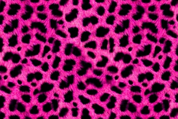 Animal Print Iphone Wallpapers Top Free Animal Print Iphone Backgrounds Wallpaperaccess