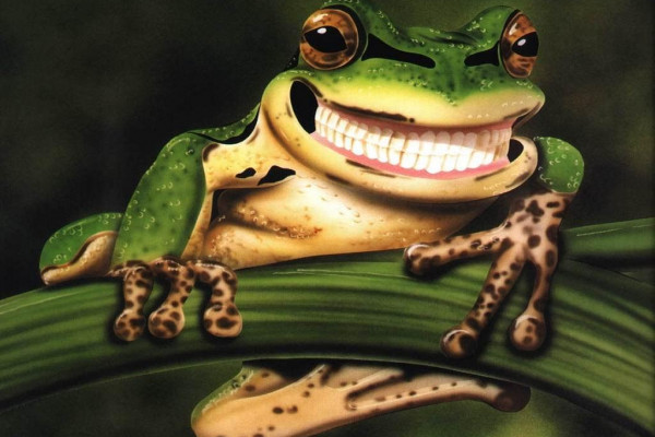 Aesthetic Frog Wallpaper Laptop - Cute Frog Backgrounds Wallpaper Cave