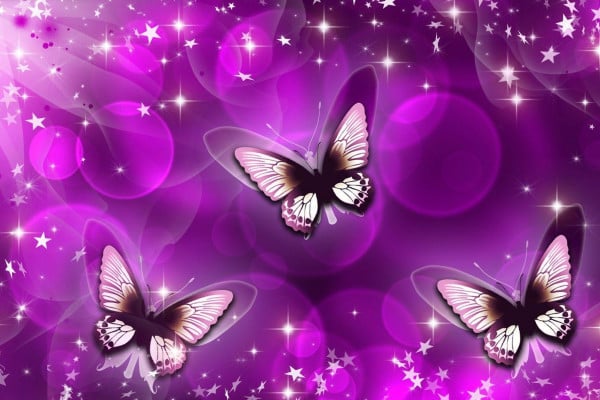 Purple Butterfly and Stars Wallpapers - Top Free Purple Butterfly and ...