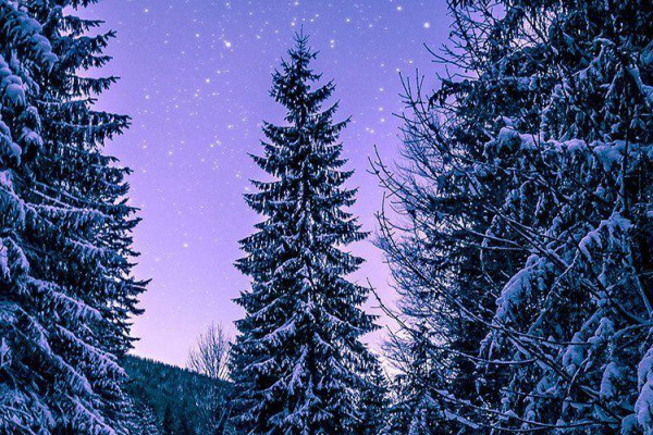 Winter Phone Wallpapers Top Free Winter Phone Backgrounds Wallpaperaccess