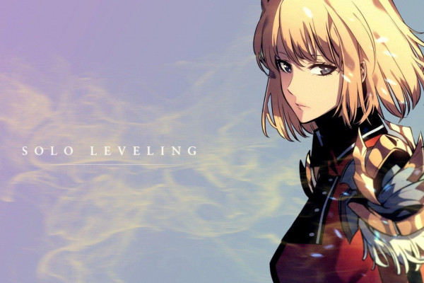 Solo Leveling, 나 혼자만 레벨업, I Alone Level Up. Anime, Desenho