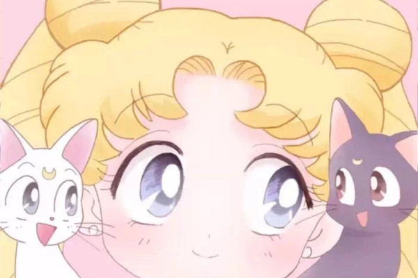 19 Kawaii Sailor Moon Cat Wallpaper Png Wallpaper 