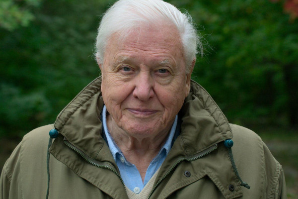 David Attenborough: A Life On Our Planet Wallpaper