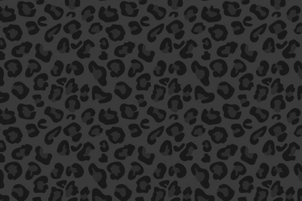 Black Leopard Wallpapers - Top Free Black Leopard Backgrounds ...