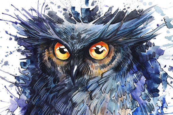 Bird Painting Wallpapers - Top Free Bird Painting Backgrounds