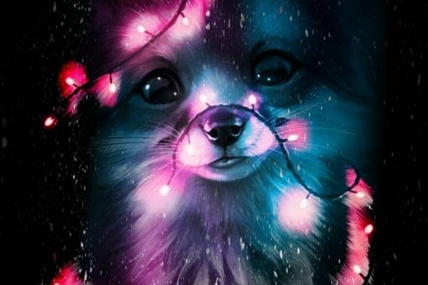 Dog Galaxy Wallpapers - Top Free Dog Galaxy Backgrounds - WallpaperAccess