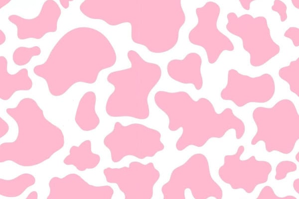 Cow print HD wallpapers  Pxfuel