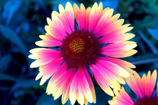 Pretty Wallpapers - Top Free Pretty Backgrounds - WallpaperAccess image.