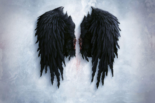 Black Angel Wings Wallpapers Top Free Backgrounds Wallpaperaccess - Angel Wings Wallpaper For Walls