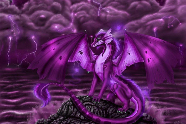Purple Dragon awesome black cool dark darker shades HD phone  wallpaper  Peakpx
