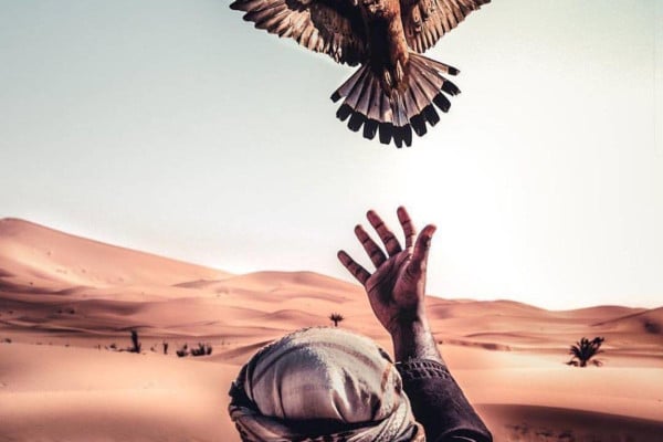 Palestine Wallpapers - Top Free Palestine Backgrounds - WallpaperAccess