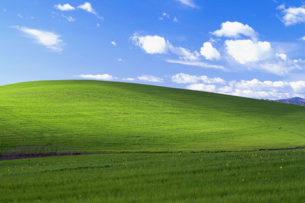 Green Field Wallpapers - Top Free Green Field Backgrounds - WallpaperAccess