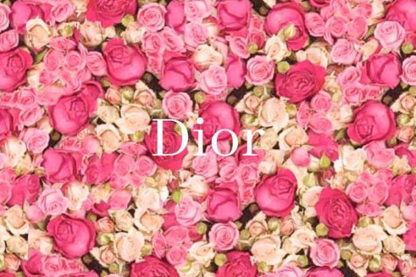 Dior Wallpapers - Top Free Dior Backgrounds - WallpaperAccess