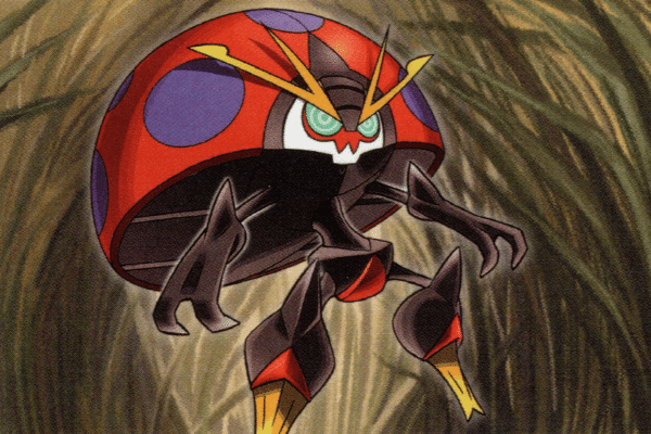 Orbeetle Wallpaper