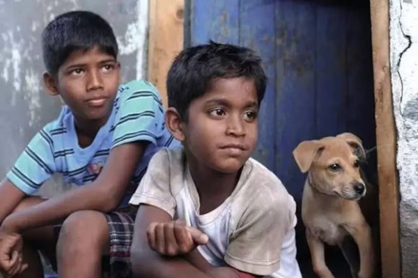 Kaaka Muttai Wallpaper