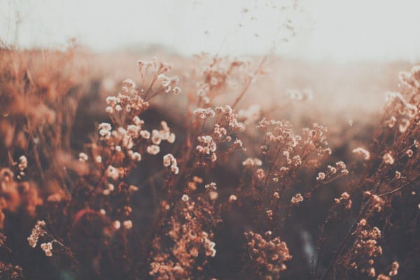 Soft Aesthetic Laptop Wallpapers - Top Free Soft Aesthetic Laptop