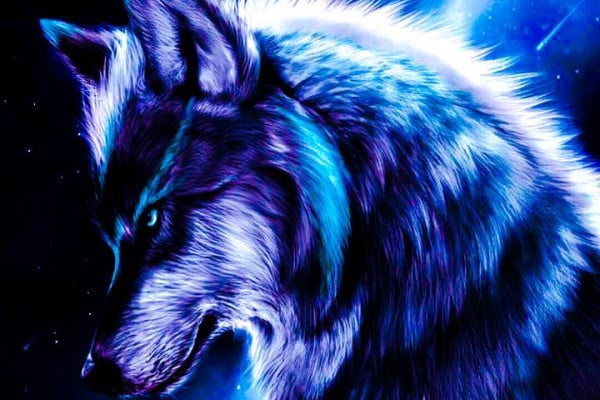 Neon Wolf Wallpapers - Top Free Neon Wolf Backgrounds - WallpaperAccess