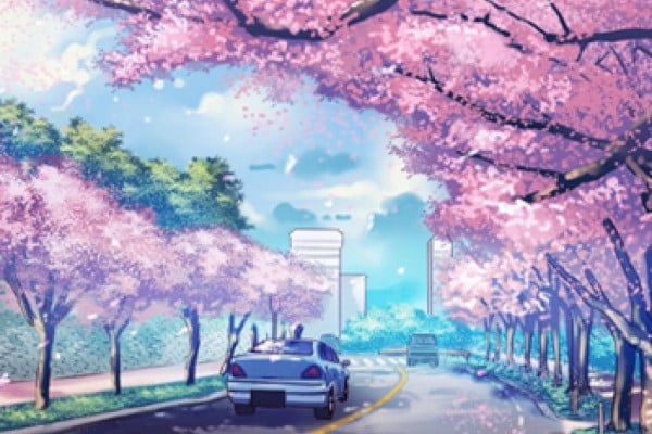 16++ Anime Scenery Cherry Blossoms Wallpaper - Anime Wallpaper