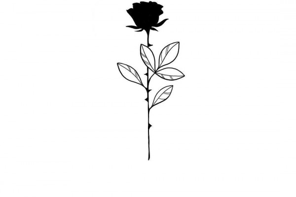 Rose Drawing Wallpapers - Top Free Rose Drawing Backgrounds ...