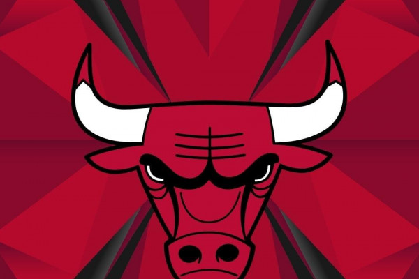 Bull iPhone Wallpapers - Top Free Bull iPhone Backgrounds - WallpaperAccess