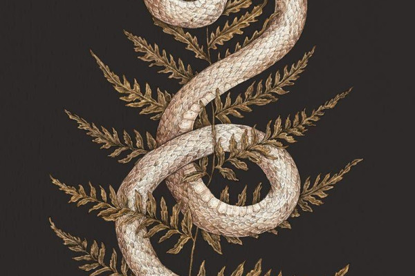 Snake Tattoo Wallpapers - Top Free Snake Tattoo Backgrounds