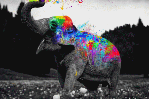 Colorful Elephant Wallpapers - Top Free Colorful Elephant Backgrounds ...