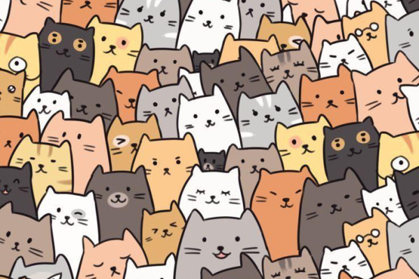 Doodle Wallpapers Top Free Doodle Backgrounds WallpaperAccess