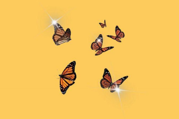 Cute Yellow Butterflies Wallpapers - Top Free Cute Yellow Butterflies ...