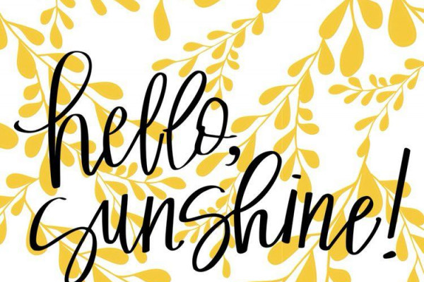 Mr. Sunshine Wallpapers - Top Free Mr. Sunshine Backgrounds ...