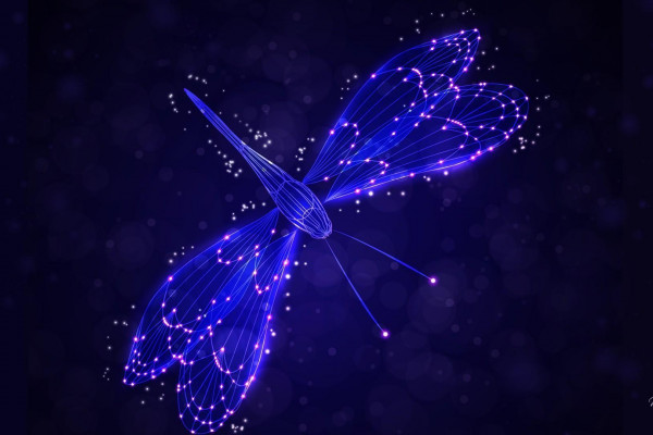 Dragonfly Wallpapers - Top Free Dragonfly Backgrounds - WallpaperAccess