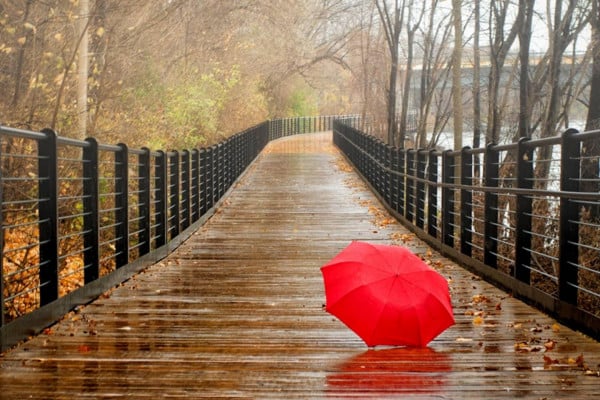 Rainy Day Wallpapers - Top Free Rainy Day Backgrounds - WallpaperAccess