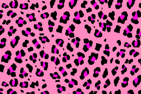 Cute Leopard Print Wallpapers - Top Free Cute Leopard Print Backgrounds ...