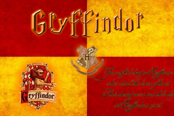 Featured image of post Dont Touch My Laptop Muggle Gryffindor / My laptop mouse touchpad is not working.