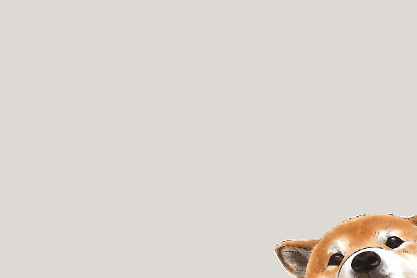 Dog Aesthetic Wallpaper - The Y Guide