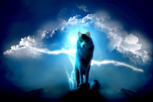 Lightning Wolf Wallpapers Top Free Lightning Wolf Backgrounds Wallpaperaccess