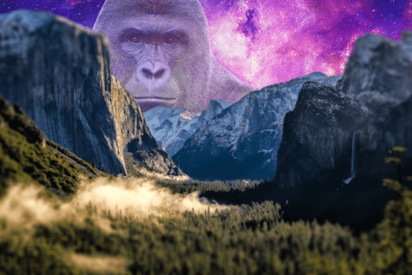 Harambe Wallpaper
